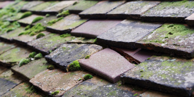 Wilmington Green roof repair costs